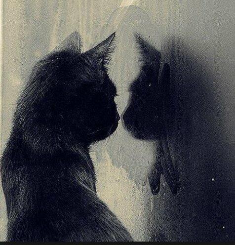 Пора домой.