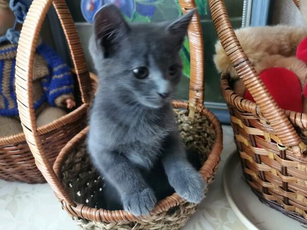 ОСЕНЬ ПРОКАЖЁННАЯ 