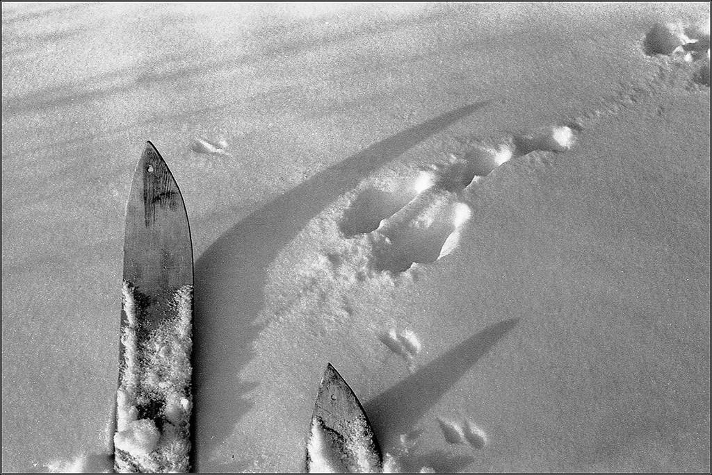 Снег прошёл