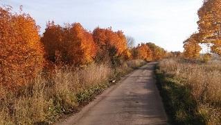 Как пальчиком ребёнок
