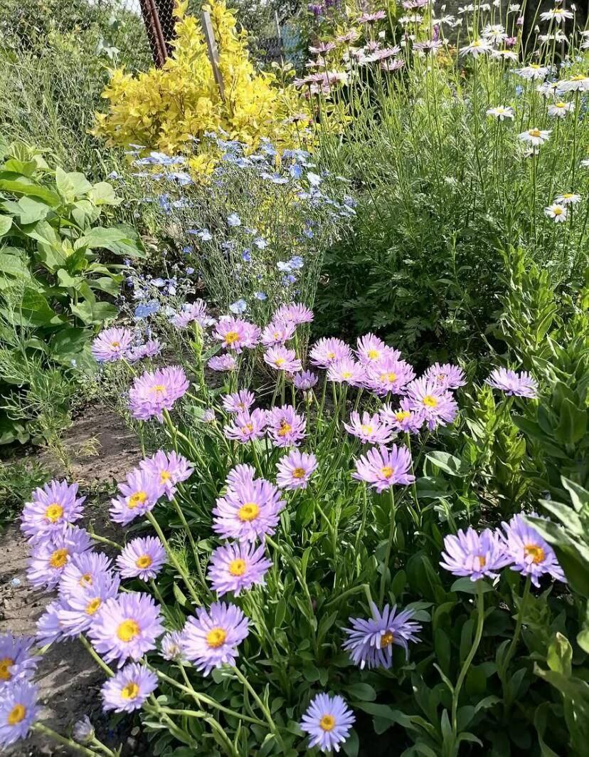 Боже мой! Не устану дивиться ... 