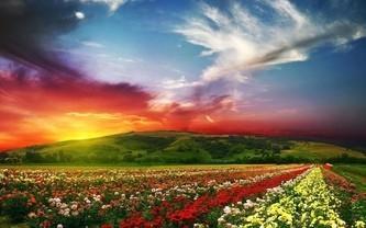 Я влюбился. Не забуду эту сказку-небылицу