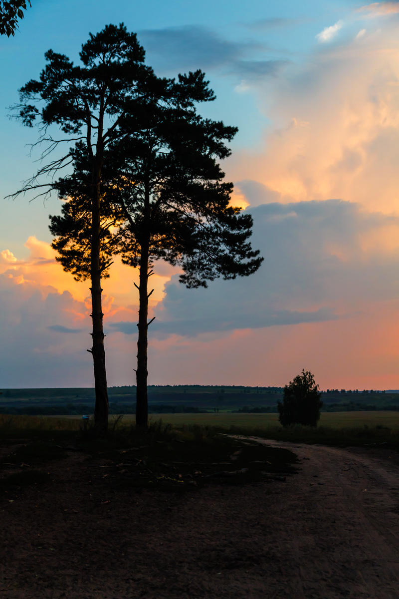 Фото: Стояли две сосны... Александр Садовский. Пейзаж. Фотосайт Расфокус.ру