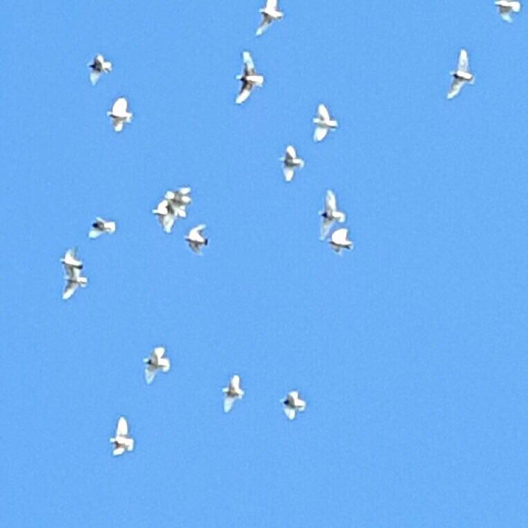 Крик души нас рвёт на части!