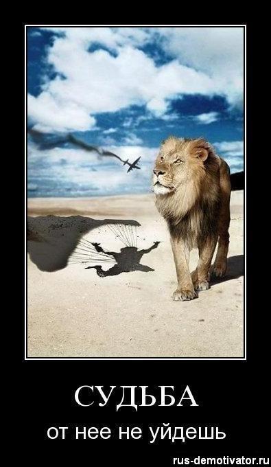 Эх,судьба моя...