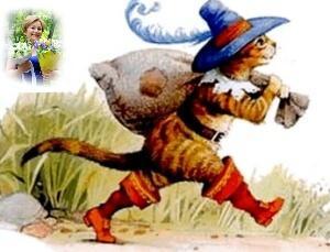 Привет от Кота