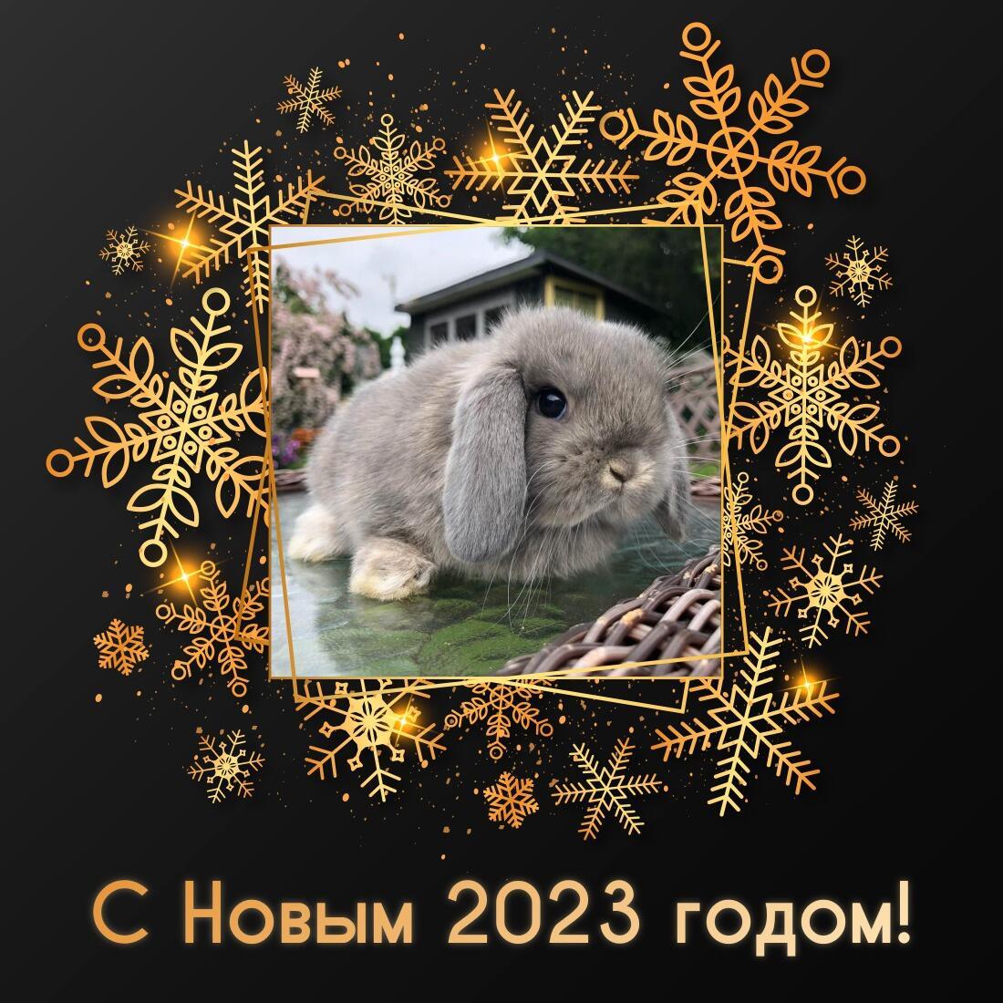 Новый год лучшее 2023