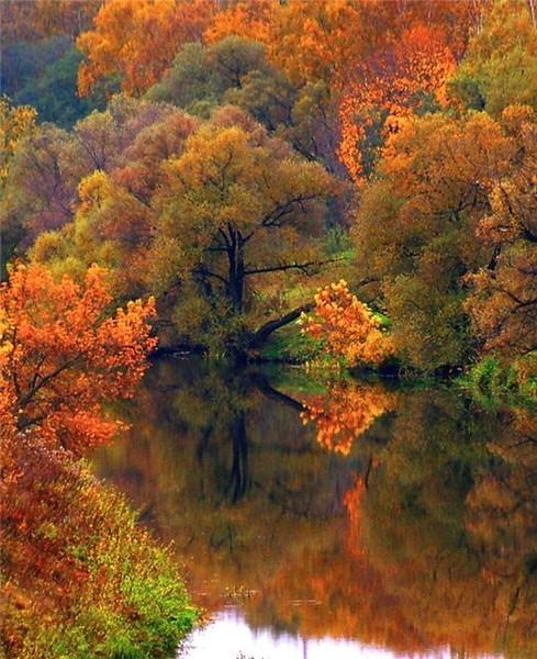 ОСЕНЬ  КРАСИТСЯ  ОХРОЙ