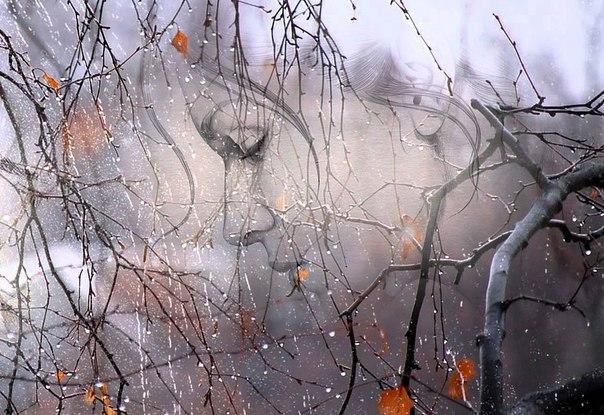 Я дождь люблю