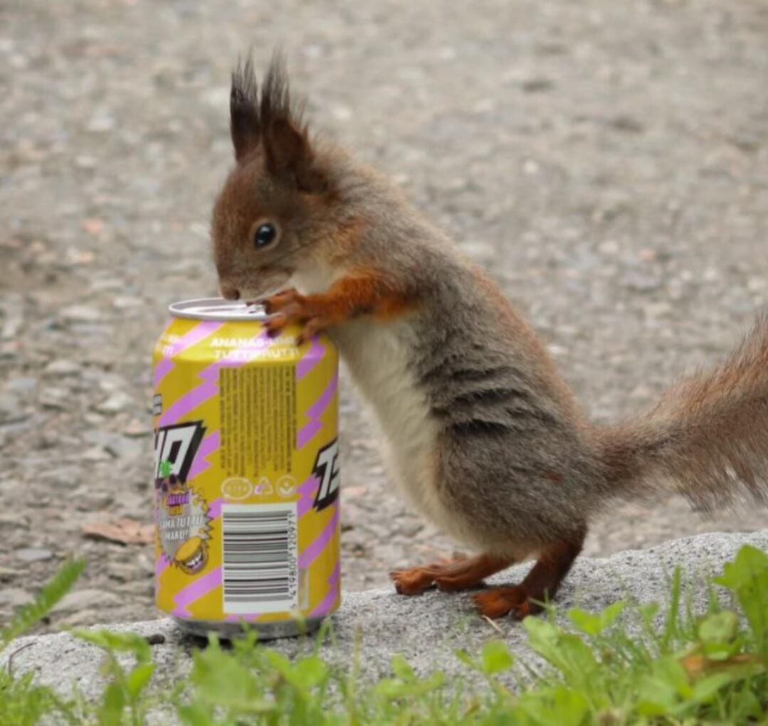 Проверим, чем сегодня угощают. АБ