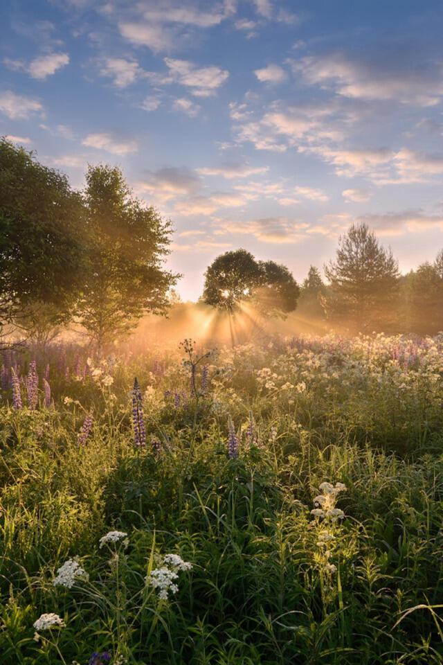 И каждый осени совсем немного ждёт 