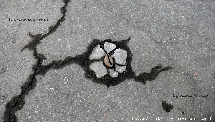 Абстрактность