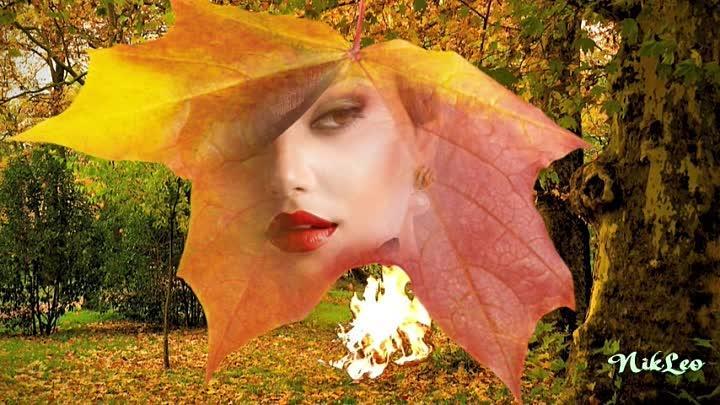 Смотрит осень в окно...