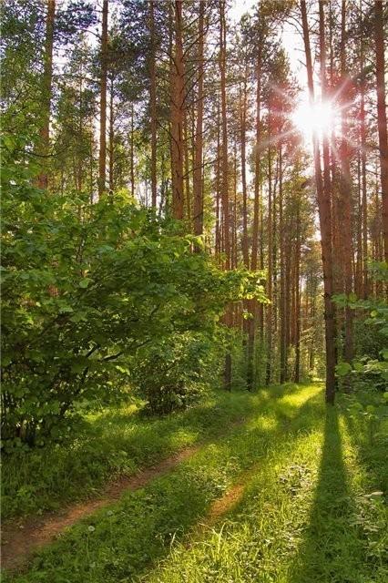 КОЛДОВСТВА НЕВИДИМЫЕ ЧАРЫ.