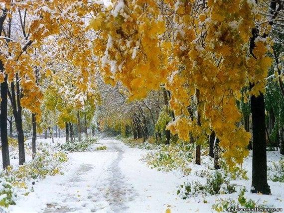 НАСТУПАЮЩИЕ ХОЛОДА