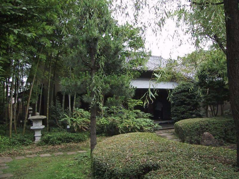 ФЛОРА ОДЕЛА ЦВЕТУЩИЙ НАРЯД