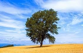 Похороните меня где-нибудь