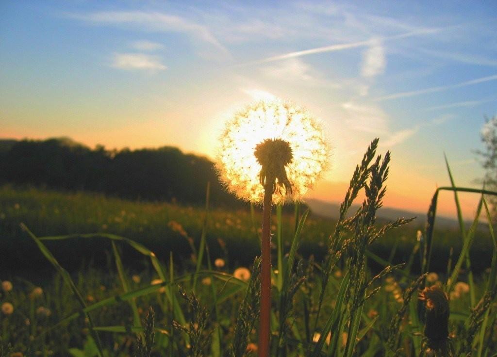 "Строки чувств" (10.08.2018)