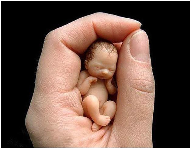 Мы дети ещё не рождённые ( из цыкла Мы Боги, Мы дети Богов)