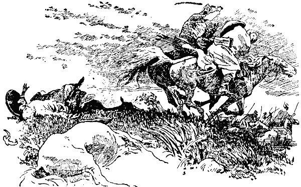 И так, друзья, вернее - други...