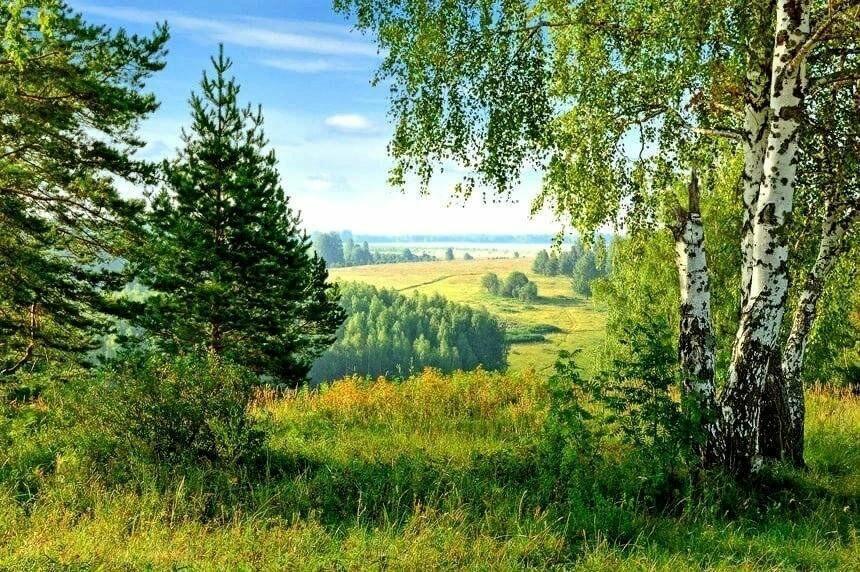 Как вы там, дорогие, любимые...