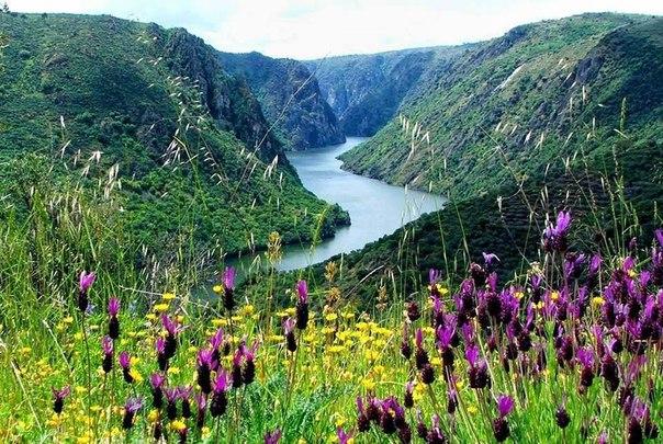 Дела давно минувших дней