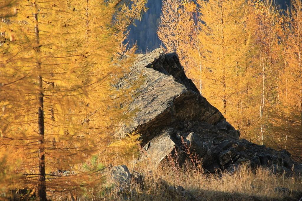 НЕ ХОЧЕТ ОСЕНЬ ЧАЮ...