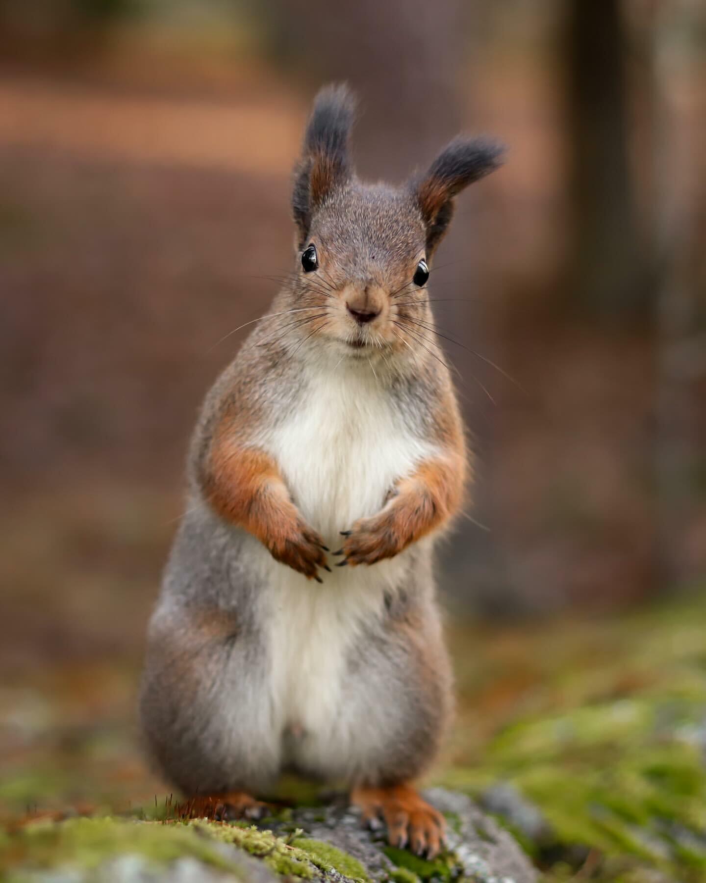 Давайте дружить!