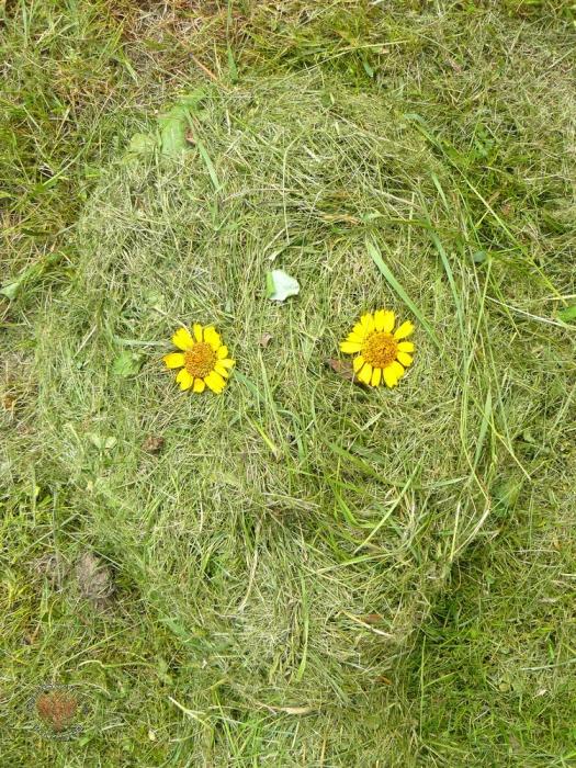 Как плачут скошенные травы...