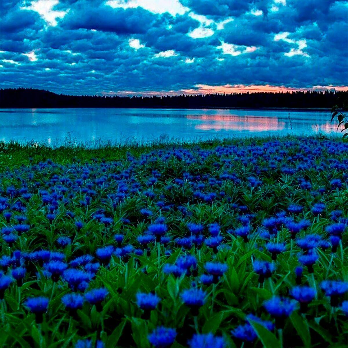 НАХМУРИЛСЯ  ФИНАЛ  ИЮНЯ - ( акро )