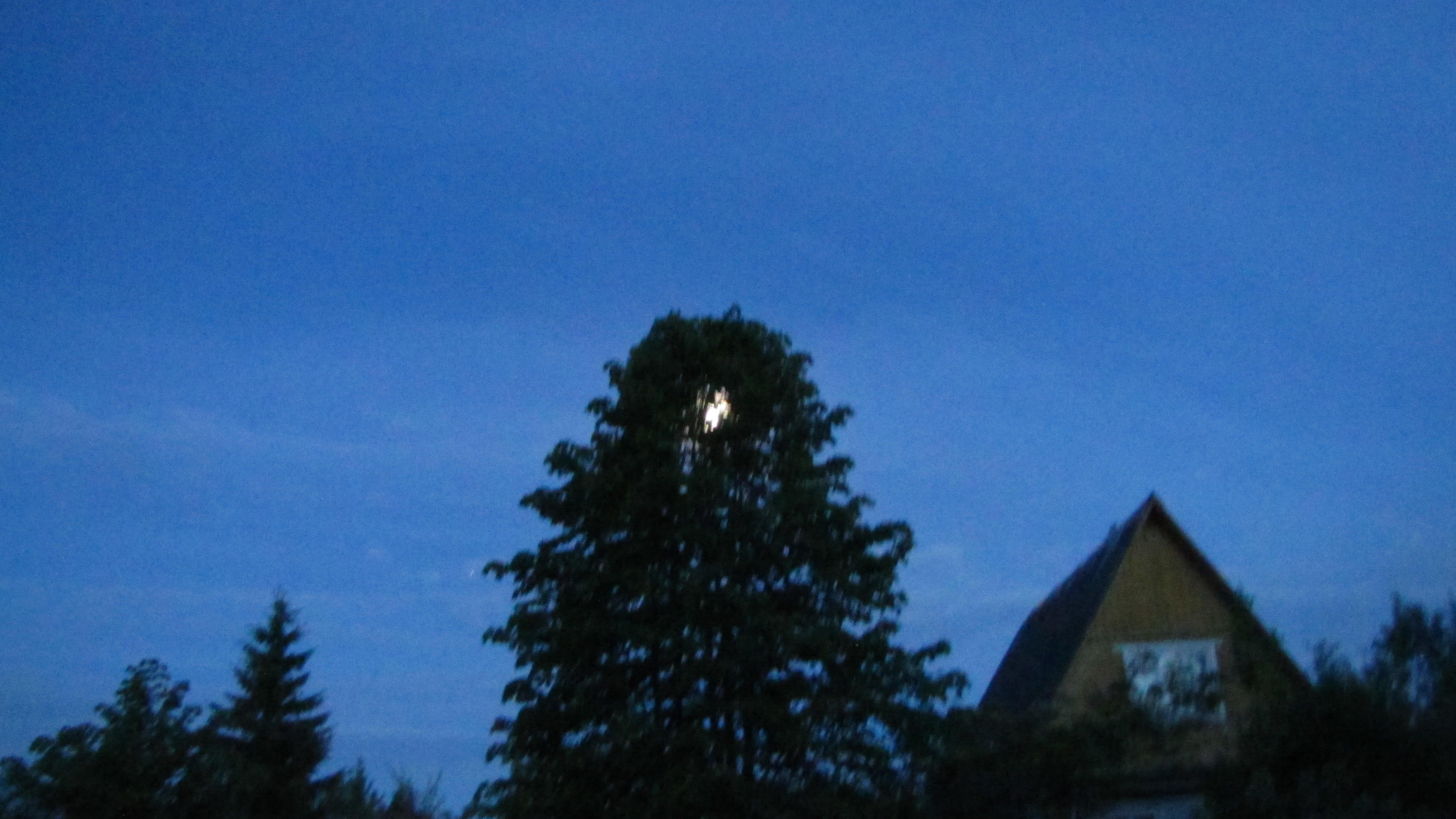 БАЛ ПЯТИЛЕТНИХ...