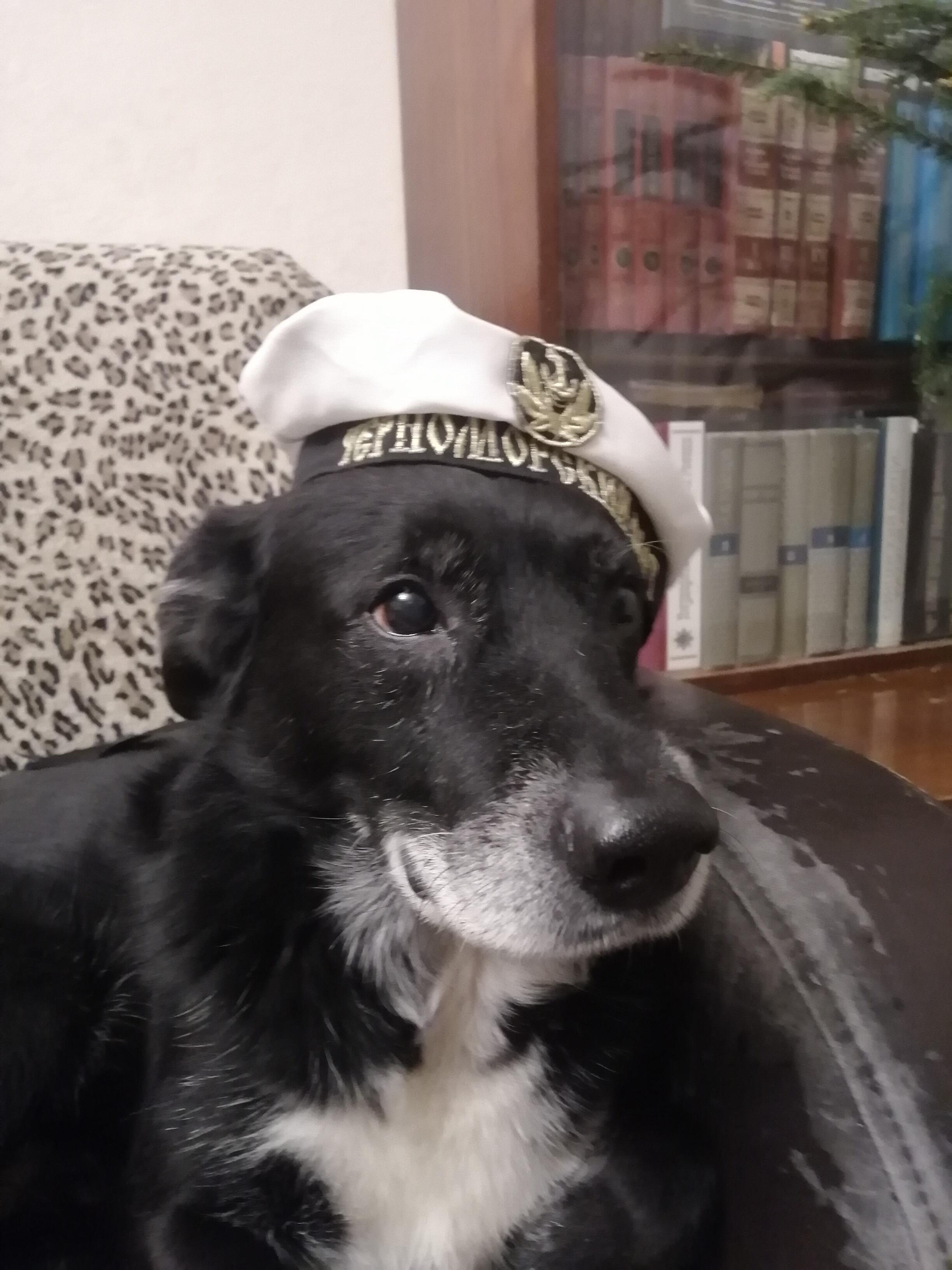 Типа частушка