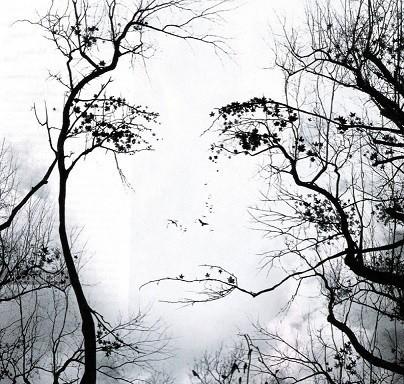 Вопросом сложным задаюсь ( или гештальт)