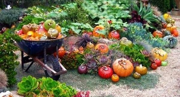 Осенние шаги