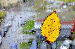 Плачет дождиком душа