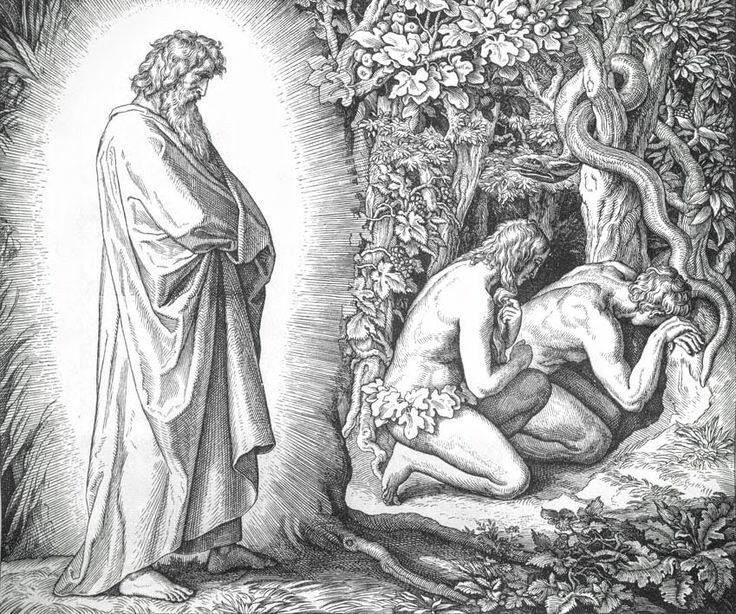 С ЛЕВОГО РЕБРА