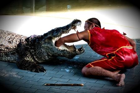 Крокодил ГенАйфон