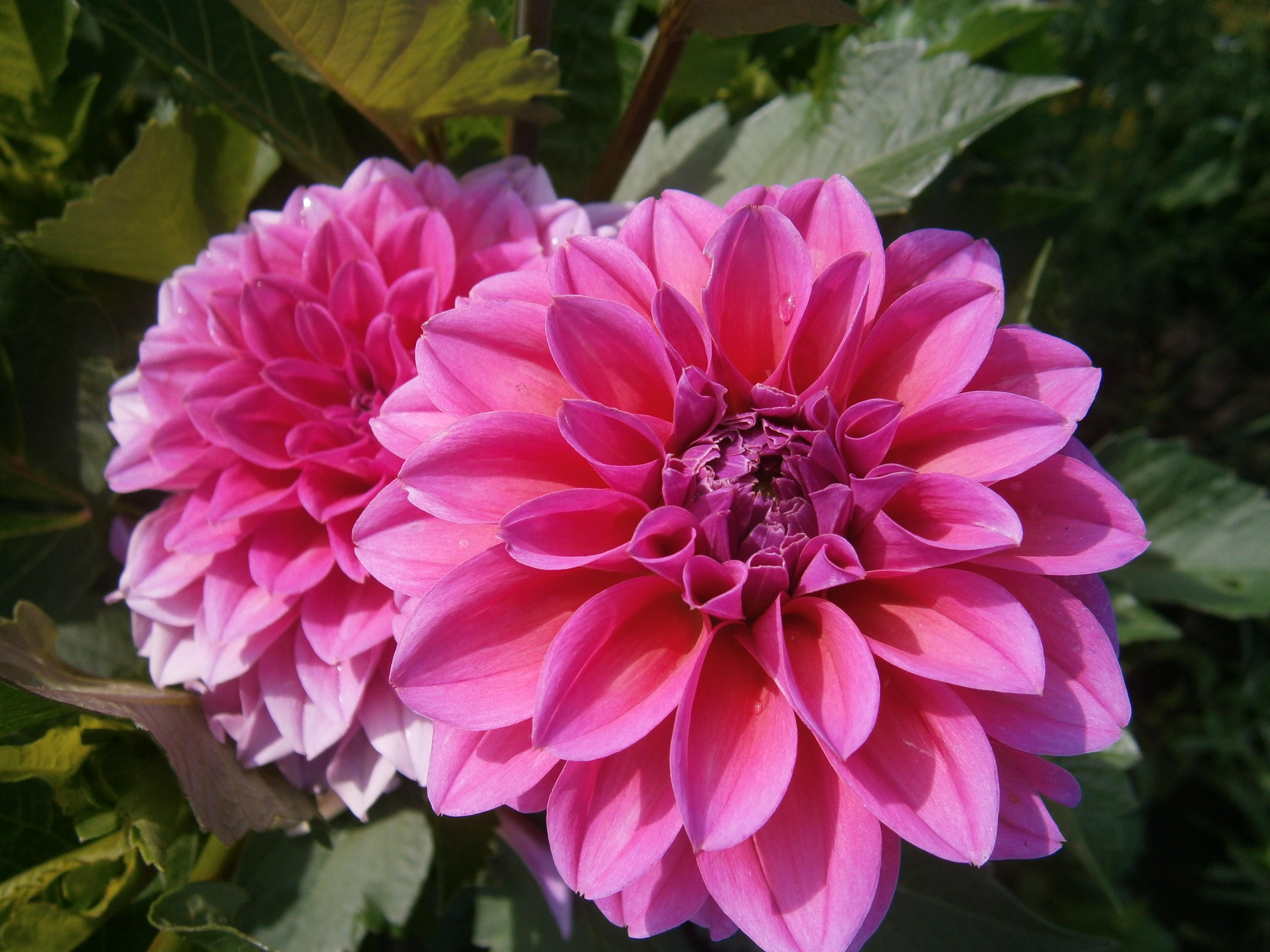 Приветствую тебя.