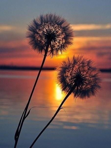 То ли ветер шумит.