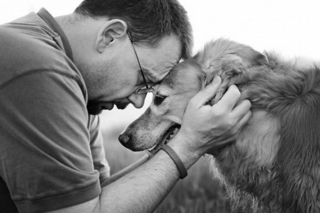 Верность пса. Животные друзья человека. Преданность собаки. Человек с животным. Собака друг человека.