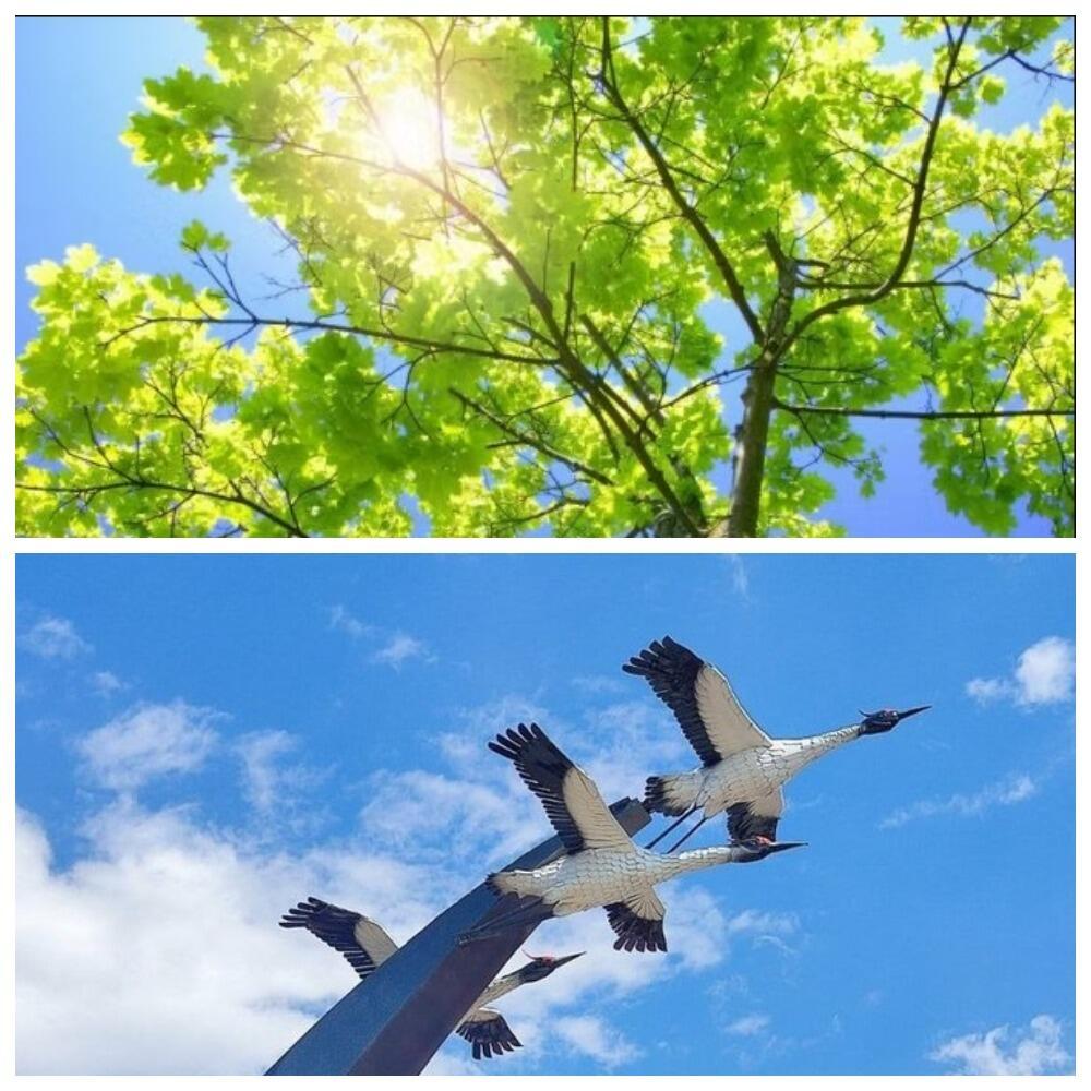 КОГДА-НИБУДЬ /В ДЕНЬ "КОГДА-НИБУДЬ"/