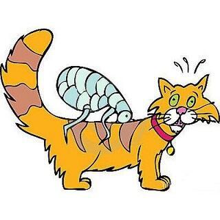 Совершенство линий