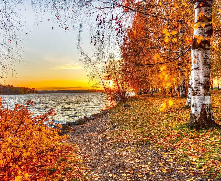 Проходит осень