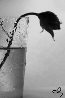 Планета " Нелюбовь"