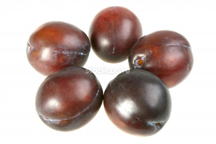 В свой дикий сад впусти меня