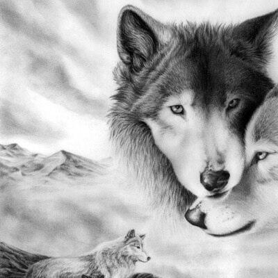 ВОЛЧЬЯ ВЕРНОСТЬ !