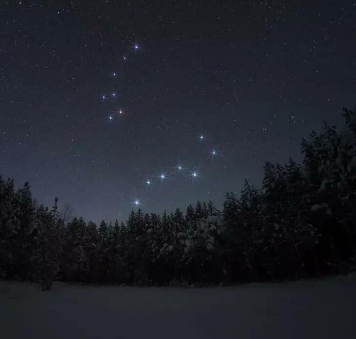 Полярная звезда