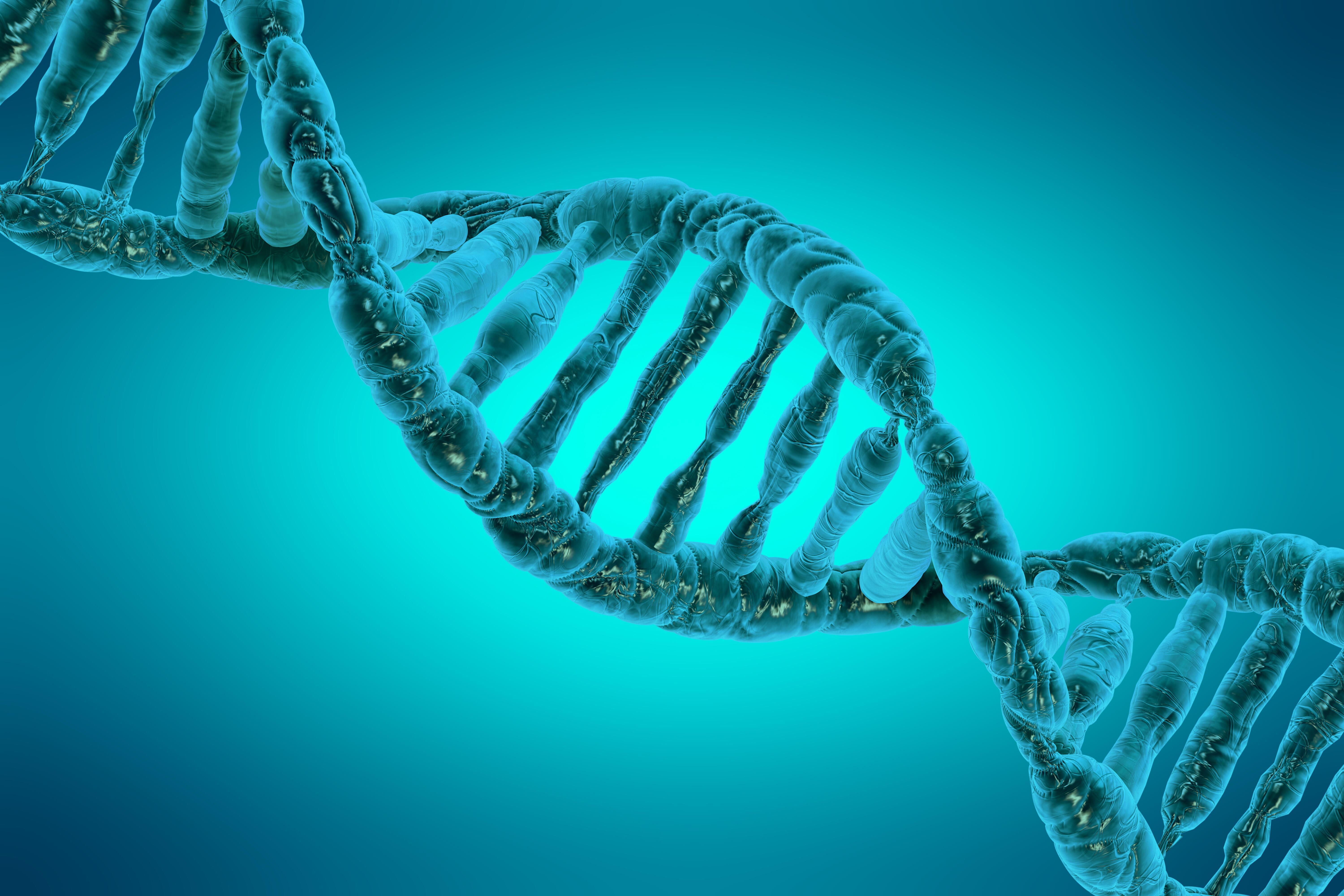 Водоросли хромосомы. Ген в молекуле ДНК. Молекула ДНК человека. Спиральная ДНК. ДНК это в биологии.
