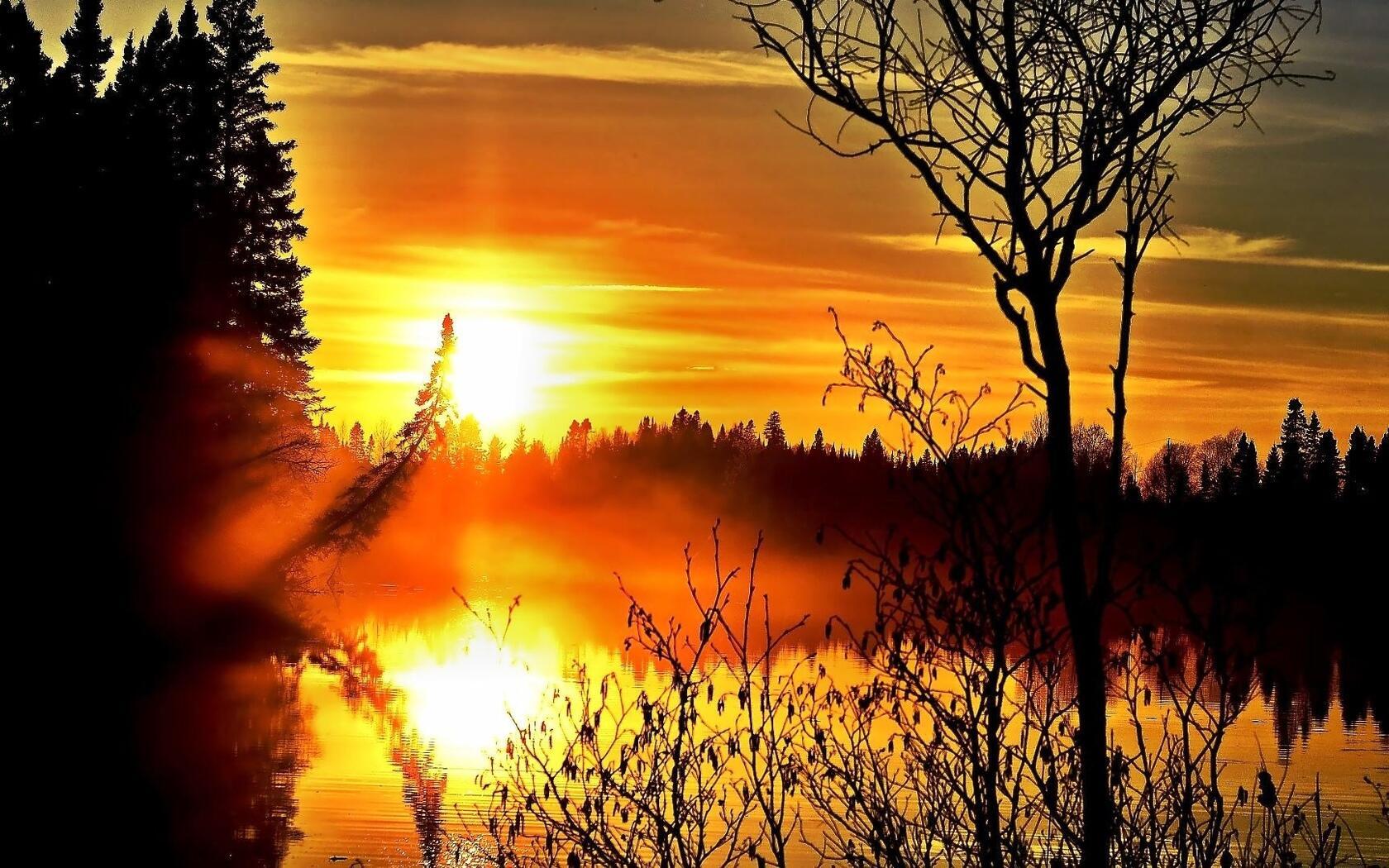 Приметы Дамочек с Метлой и долгим взглядом