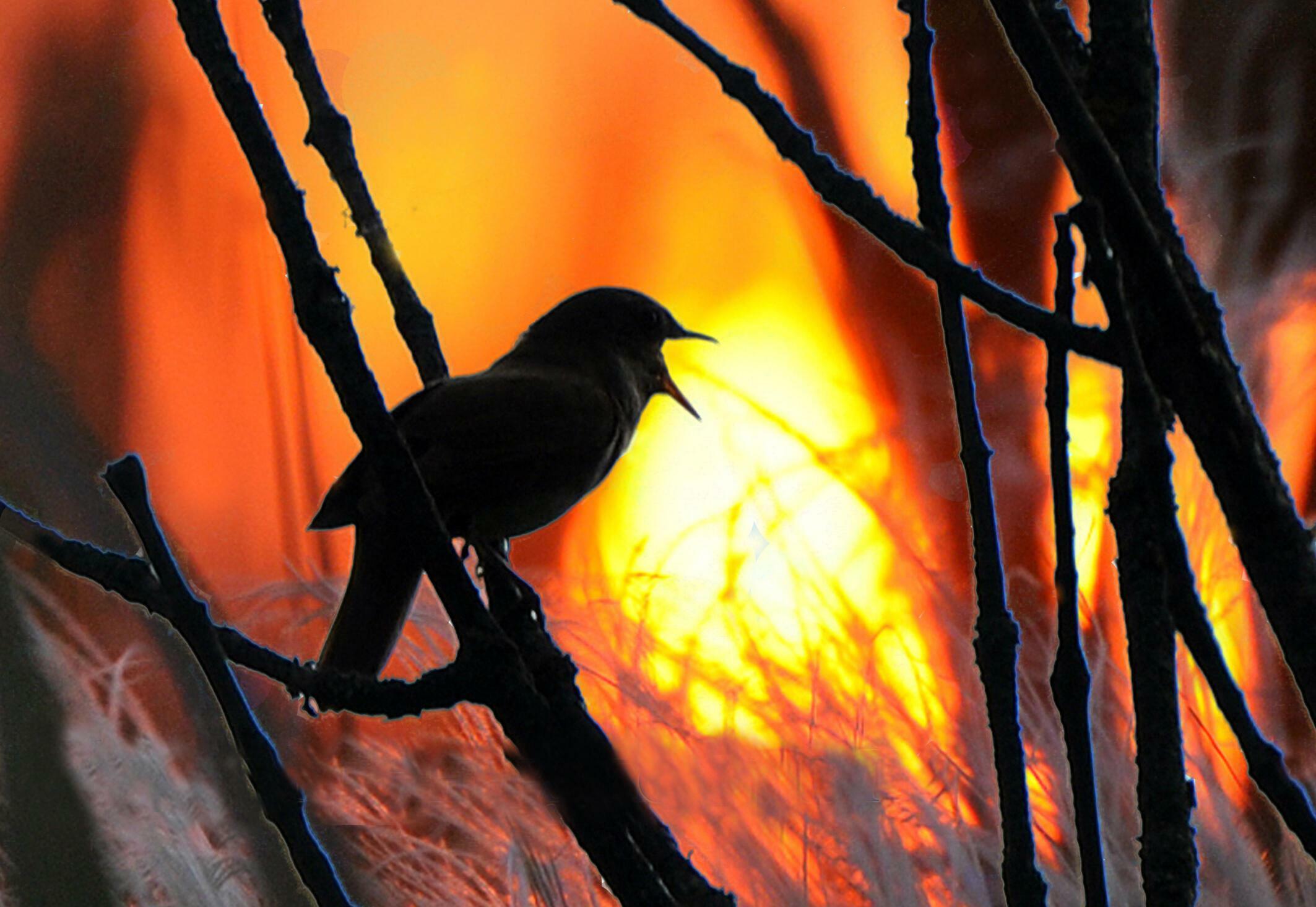 ❤️ НЕ ДАЁТ ДУШЕ ПОКОЯ